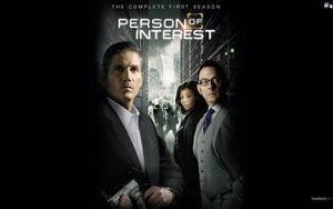 Person of Interest